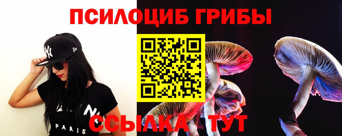 Галлюциногенные грибы прущие грибы Раменское